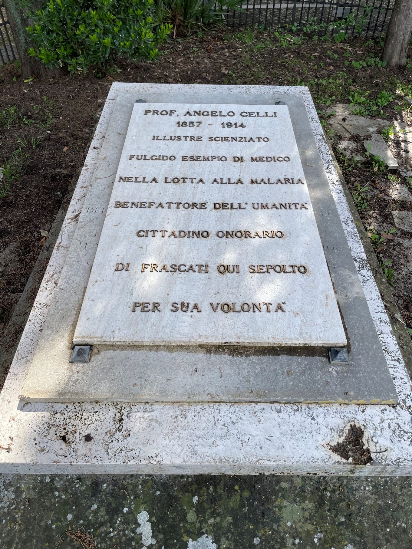 Angelo Celli and Anna Fraentzel's tomb, Frascati (by Giulia Lenci) - 05.jpeg